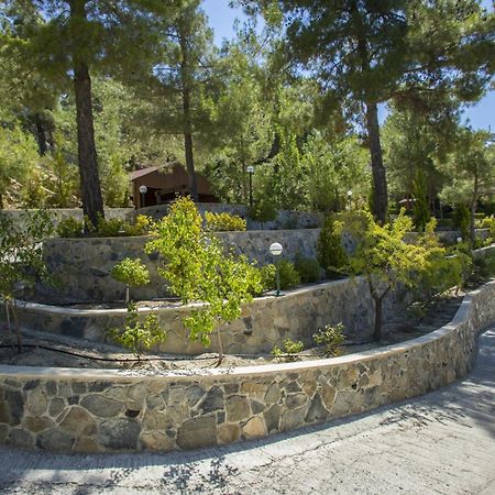 Ricky Chalet Near Troodos Spilia Ngoại thất bức ảnh