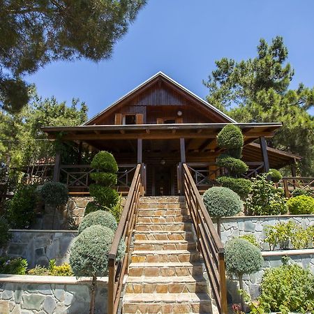 Ricky Chalet Near Troodos Spilia Ngoại thất bức ảnh
