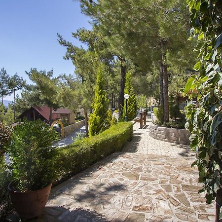 Ricky Chalet Near Troodos Spilia Ngoại thất bức ảnh