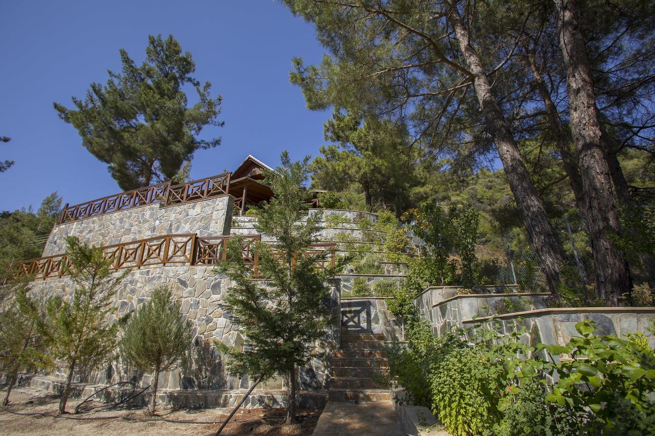 Ricky Chalet Near Troodos Spilia Ngoại thất bức ảnh