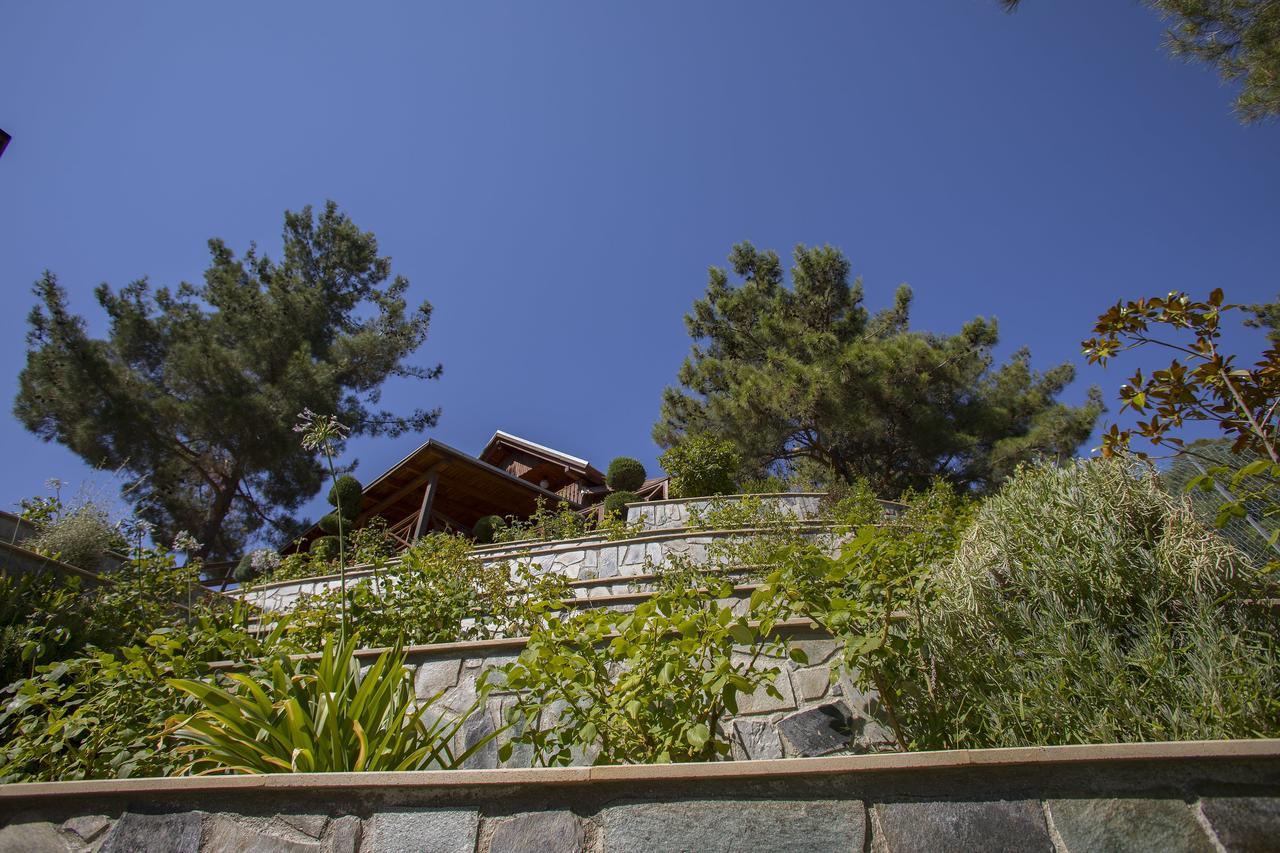 Ricky Chalet Near Troodos Spilia Ngoại thất bức ảnh