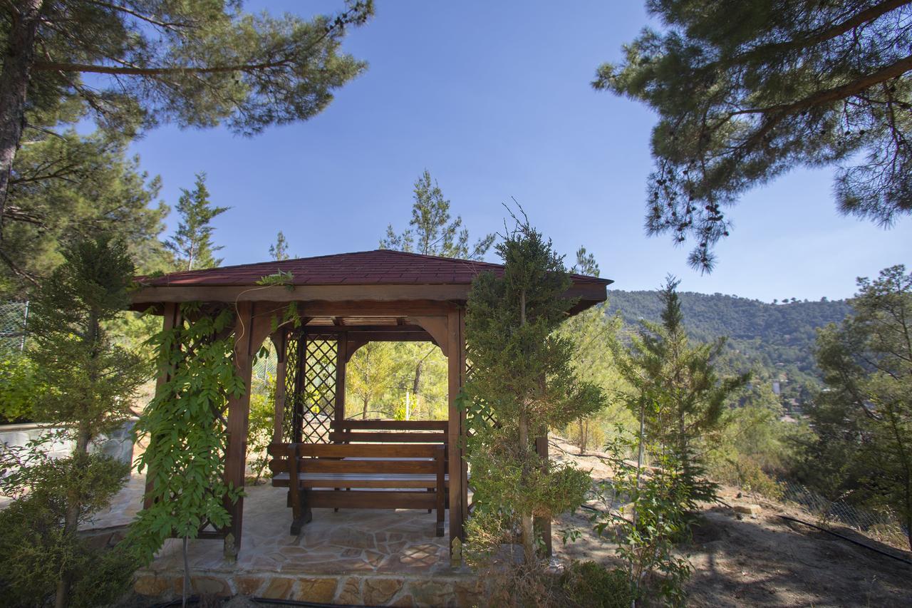 Ricky Chalet Near Troodos Spilia Ngoại thất bức ảnh