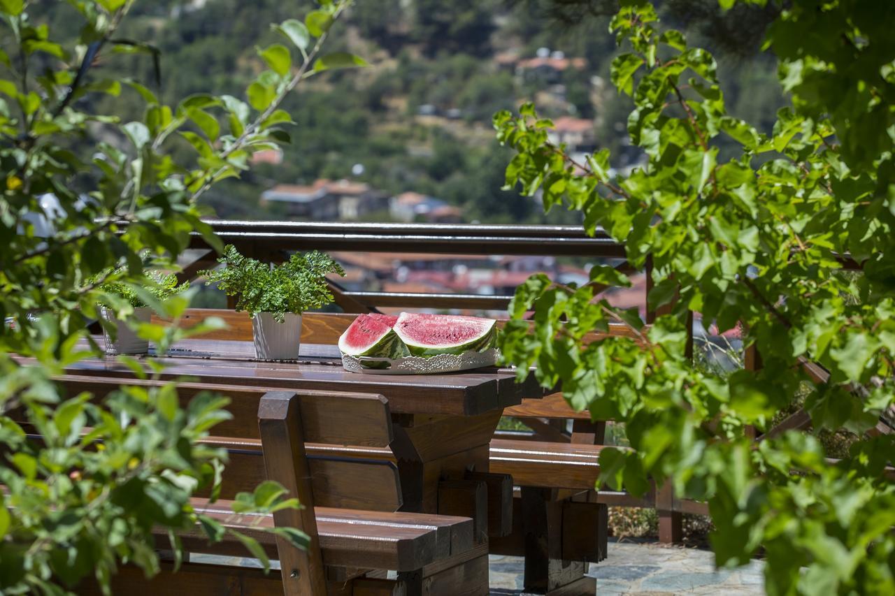 Ricky Chalet Near Troodos Spilia Ngoại thất bức ảnh