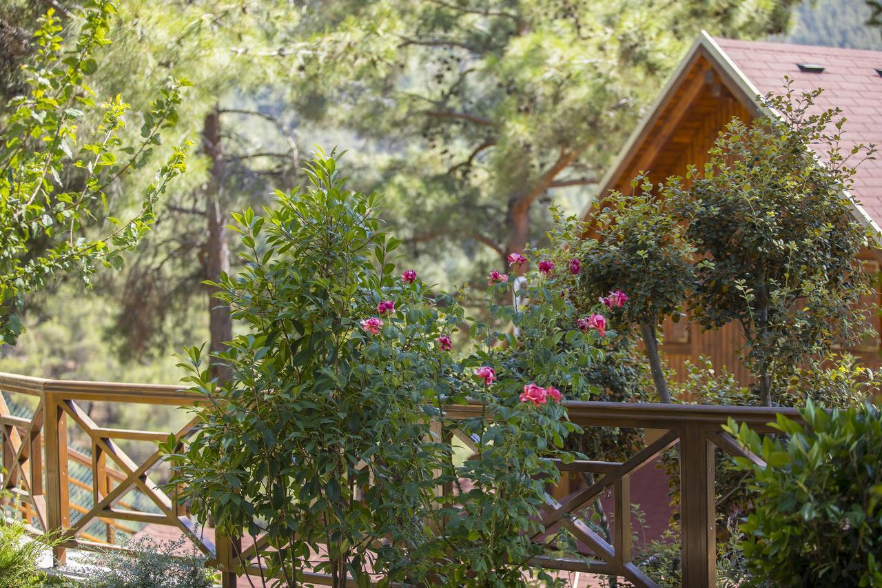 Ricky Chalet Near Troodos Spilia Ngoại thất bức ảnh