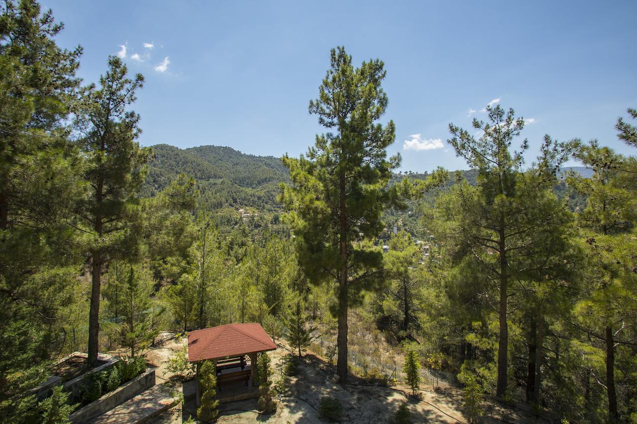 Ricky Chalet Near Troodos Spilia Ngoại thất bức ảnh