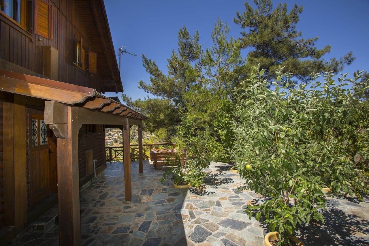 Ricky Chalet Near Troodos Spilia Ngoại thất bức ảnh