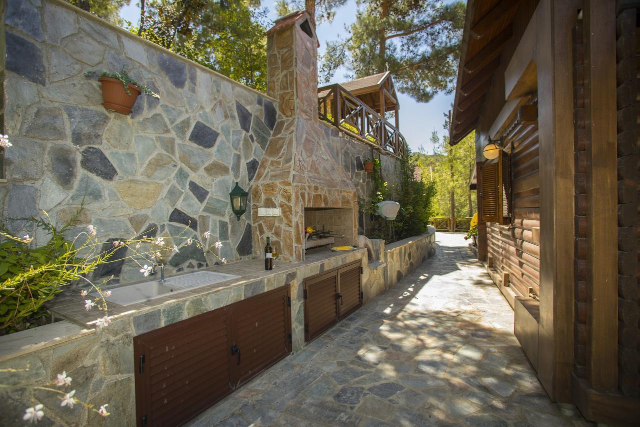 Ricky Chalet Near Troodos Spilia Ngoại thất bức ảnh